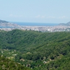 panorama Alanii