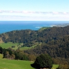 Zdjęcie z Australii - W drodze z Port Campbell