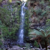 Zdjęcie z Australii - Wodospad Erskine Falls