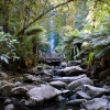 Zdjęcie z Australii - Wodospad Erskine Falls