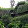 Zdjęcie z Australii - Mount Gambier