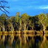 Zdjęcie z Australii - Rzeka Murray River