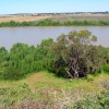 Zdjęcie z Australii - Rzeka Murray River