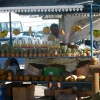 Zdjęcie z Mauritiusa - Uliczni sprzedawcy.