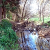 Zdjęcie z Australii - Field River Valley