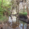 Zdjęcie z Australii - Field River Valley
