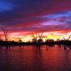 Australia - Riverland