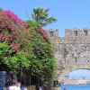 Zdjęcie z Grecji - Rodos
