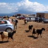 Zdjęcie z Grecji - Parking niedaleko Balos