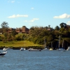 Zdjęcie z Australii - Brzegi Paramatta River