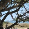 Zdjęcie z Wielkiej Brytanii - Studland beach