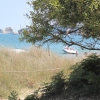 Zdjęcie z Wielkiej Brytanii - Studland beach