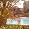 Zdjęcie z Egiptu - Palmyra Resort