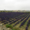 Zdjęcie z Malty - gozo