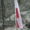 Zdjęcie z Polski - Wiwat maj, 3 maj!