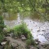 Zdjęcie z Wielkiej Brytanii - Llyn Lake, Bala