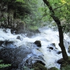 Zdjęcie z Wielkiej Brytanii - Swallow Falls