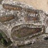Zdjęcie z Francji - St-Pantaleon - groby.