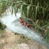 Zdjęcie z Włoch - Saturnia...