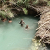Zdjęcie z Włoch - Saturnia