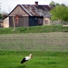 Zdjęcie z Polski - Wies Babsk na Polesiu.