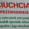 Zdjęcie z Polski - ciuchcia