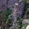 Zdjęcie ze Stanów Zjednoczonych - Black Canyon.
