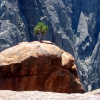 Zdjęcie ze Stanów Zjednoczonych - Black Canyon.