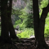 Zdjęcie ze Stanów Zjednoczonych - Curecanti Creek Trail.