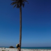 Zdjęcie z Tunezji - Jerba - Public beach