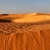 Zdjęcie z Tunezji - Desert