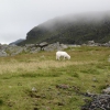 Zdjęcie z Wielkiej Brytanii - Widok w drodze na Snowdon