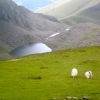 Zdjęcie z Wielkiej Brytanii - Widok w drodze na Snowdon