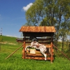 Zdjęcie z Polski - Stajnia w okolicy 