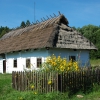 Zdjęcie z Polski - 