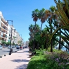 Zdjęcie z Hiszpanii - Estepona