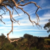 Zdjęcie z Australii - Rezerwat Onkaparinga