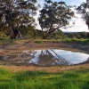 Zdjęcie z Australii - Billabong - czyli