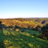 Zdjęcie z Australii - Rezerwat Onkaparinga