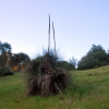 Zdjęcie z Australii - Piggott Range