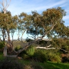 Zdjęcie z Australii - Rezerwat Onkaparinga