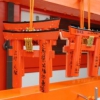Zdjęcie z Japonii - Torii