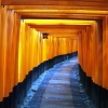 Zdjęcie z Japonii - Torii