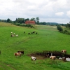 Zdjęcie z Polski - Widok z okna kolejki