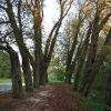 Zdjęcie z Polski - Park w Krokowej