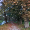 Zdjęcie z Polski - Park w Krokowej