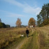 Zdjęcie z Polski - W tle wieś Drwęck