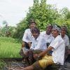 Zdjęcie z Indonezji - 