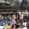 Zdjęcie z Indonezji - 