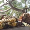 Zdjęcie z Indonezji - 